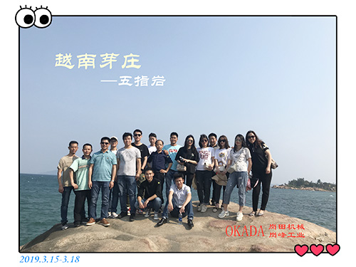 2019.3.15-...