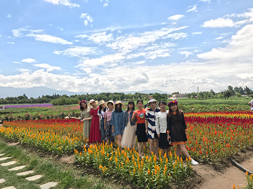 2017云南旅游