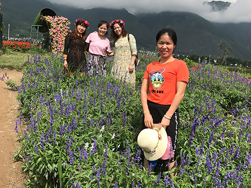 2017云南旅游